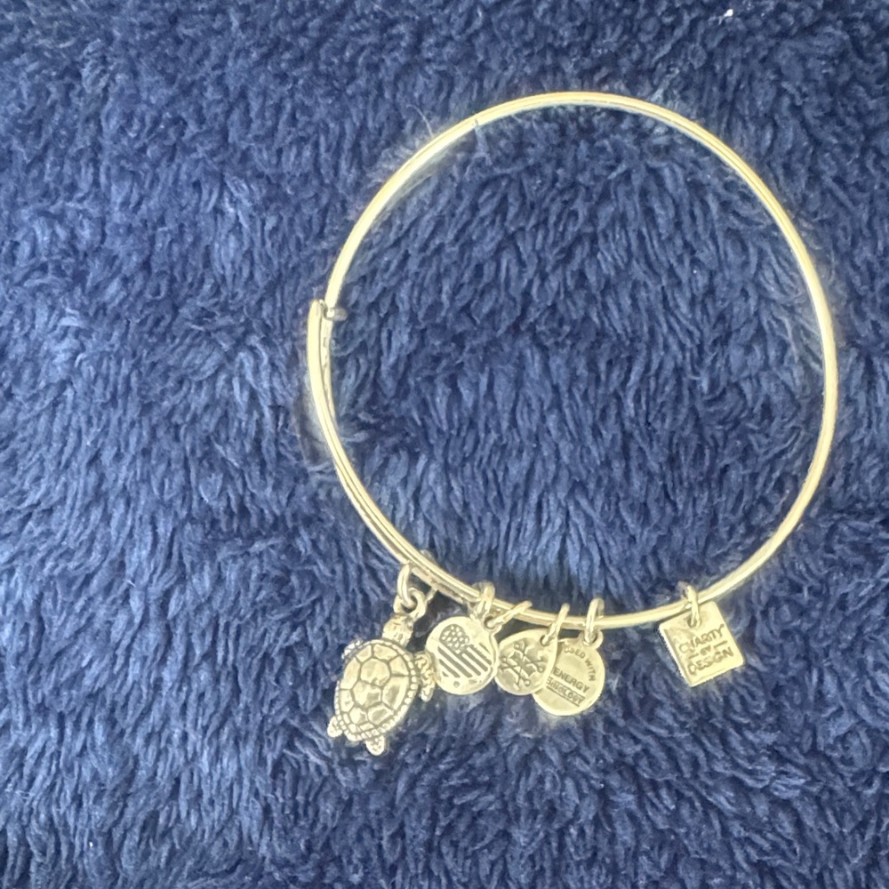 Alex & Ani Silver turtle charm Bangle Bracelet